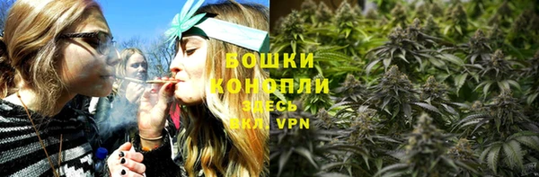 гидра Баксан
