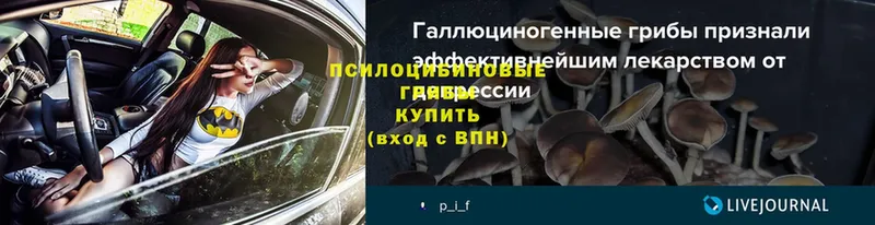 Галлюциногенные грибы ЛСД  продажа наркотиков  кракен онион  Болотное 