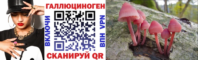 Псилоцибиновые грибы Psilocybine cubensis Болотное